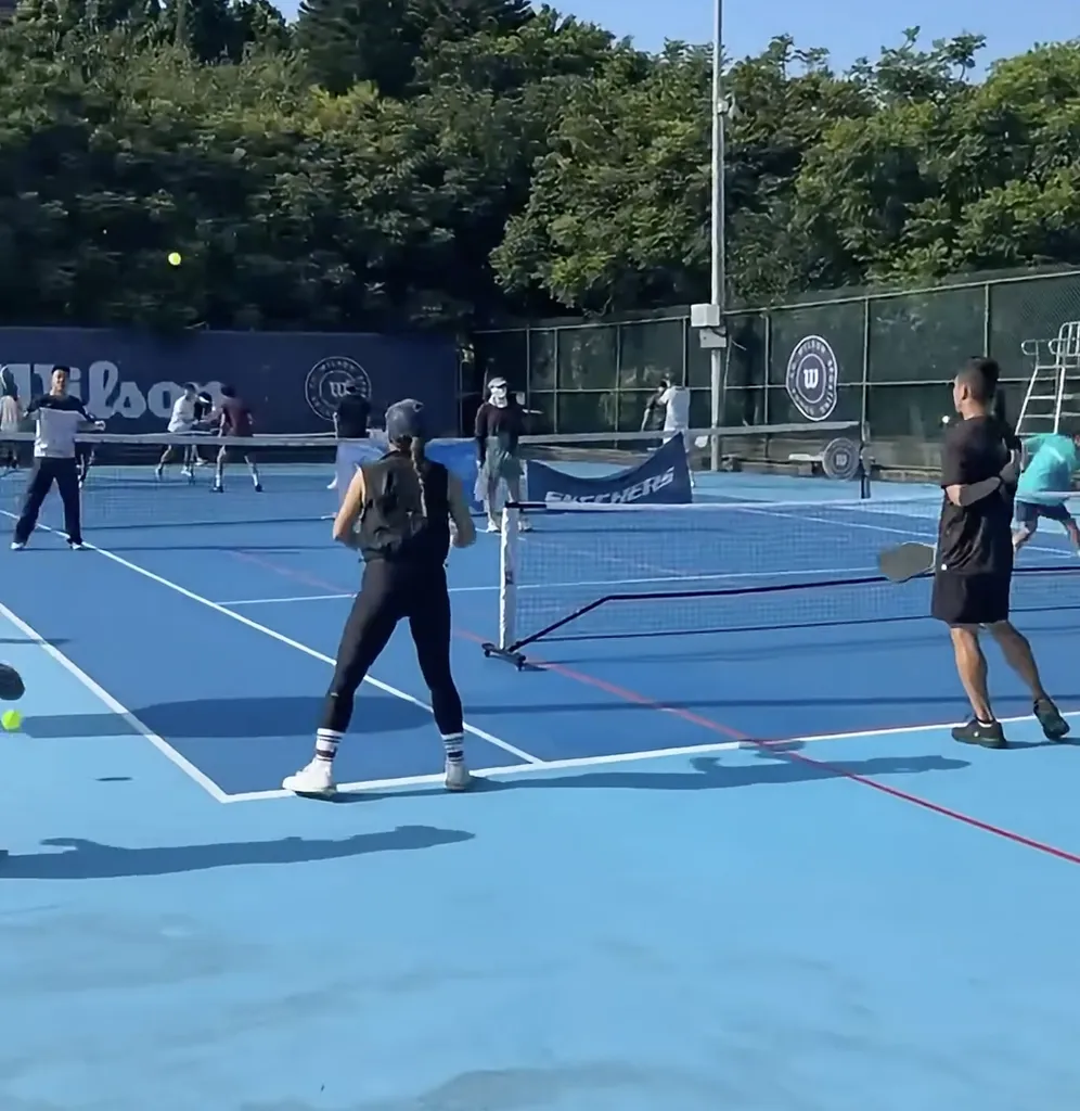 公園打匹克球